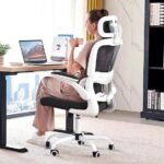 Ergonomic Chair